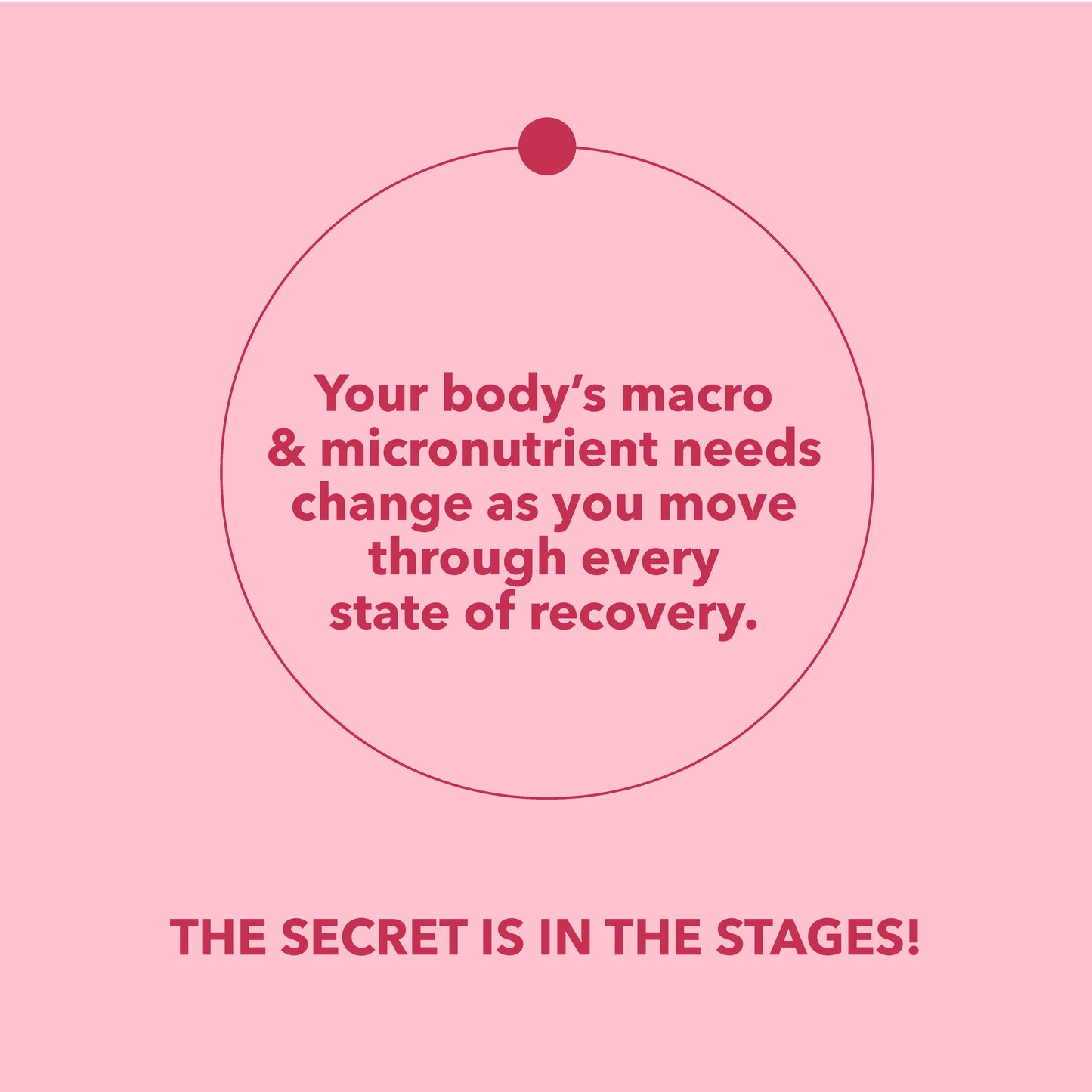 Stage 2 Protein